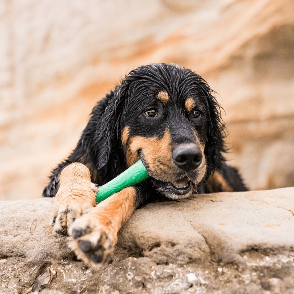 eddf04a9735c8178edee89f49d817eaa