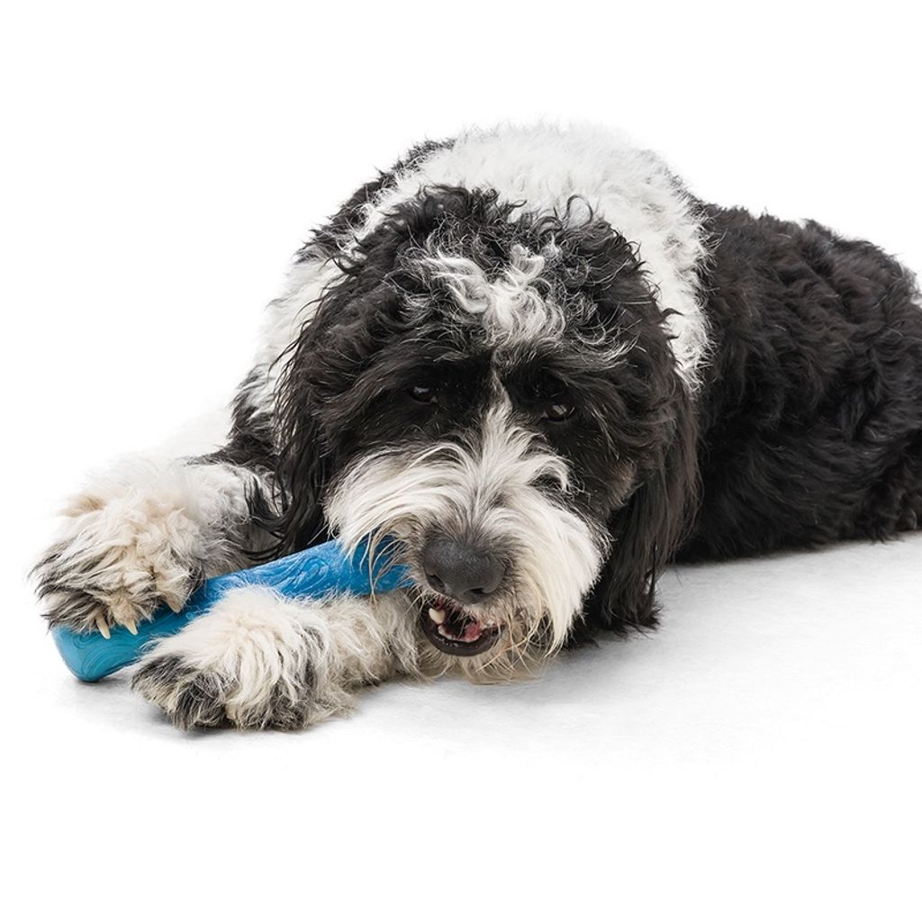 cf5ca7e4dd899cc9a299f60770d524bf