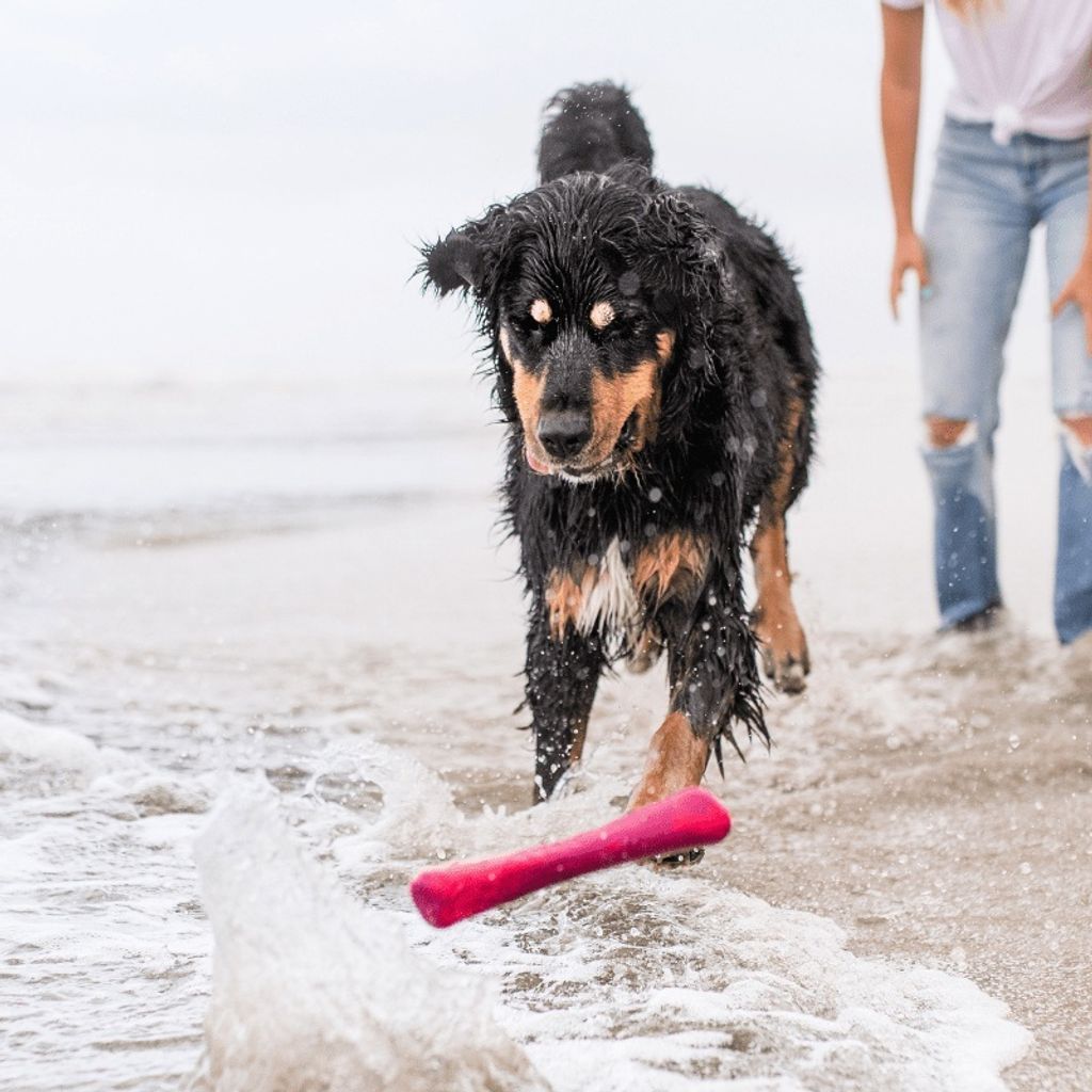 e1d3063f4a1e9cd784f5dc88df9ebe07