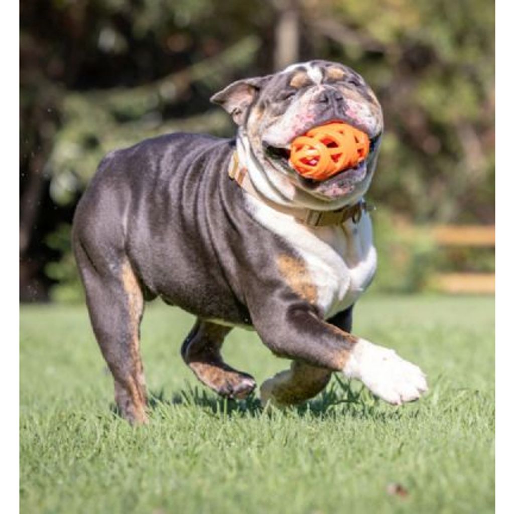 tw-11134207-7qul1-lfgmbzpc23v1b5