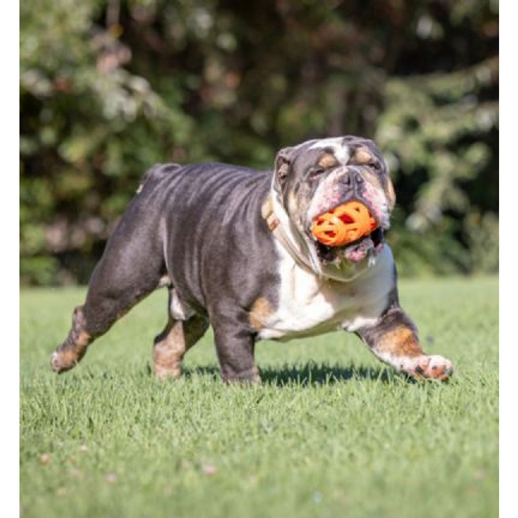 tw-11134207-7qula-lfgmbzpc3ifh34