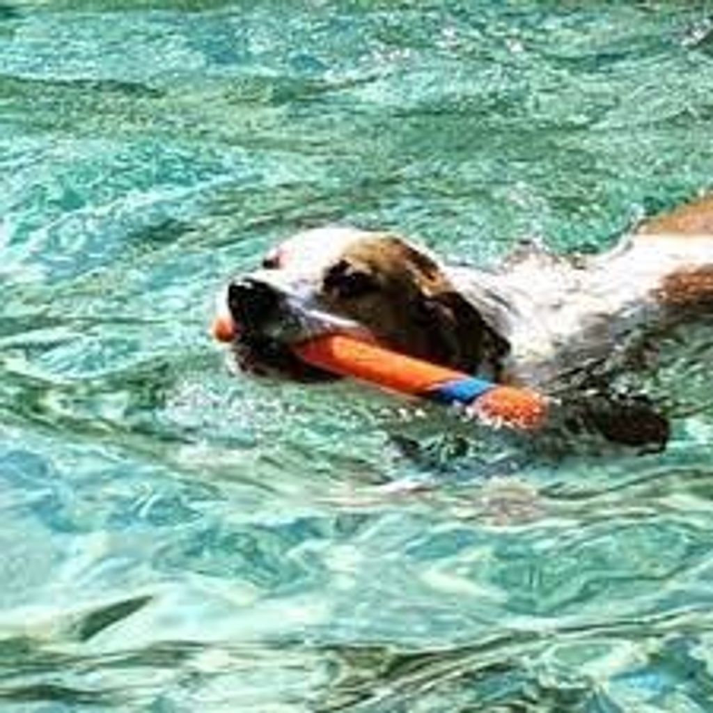 fb0b0a3256f0e20289ebe5e66e801968