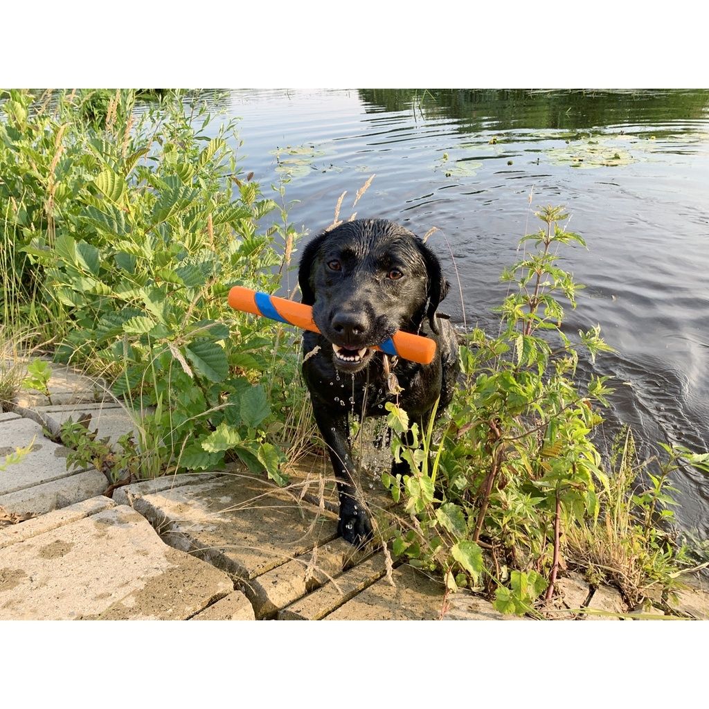 802a62b0ab3887bcf7c48d3aa529a871