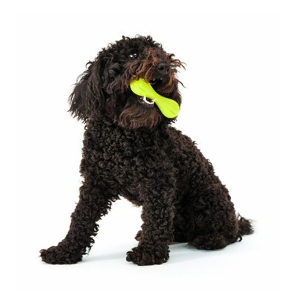 0364bc8657fdae90bdd81672af288624