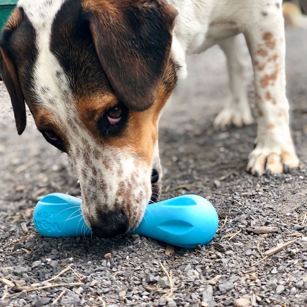 a10b2a51193a79116c727c608158a9a6