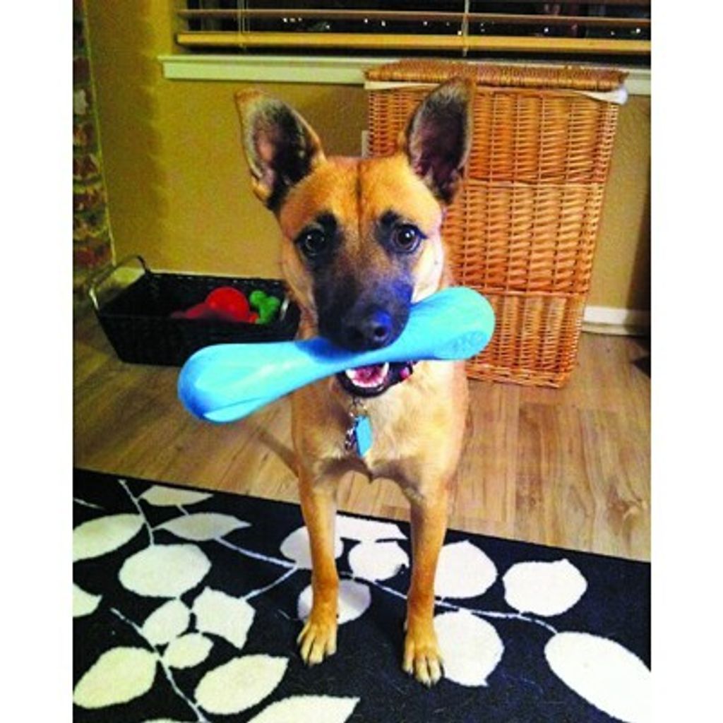 b17b36a84eb0c58431466ea900efe415