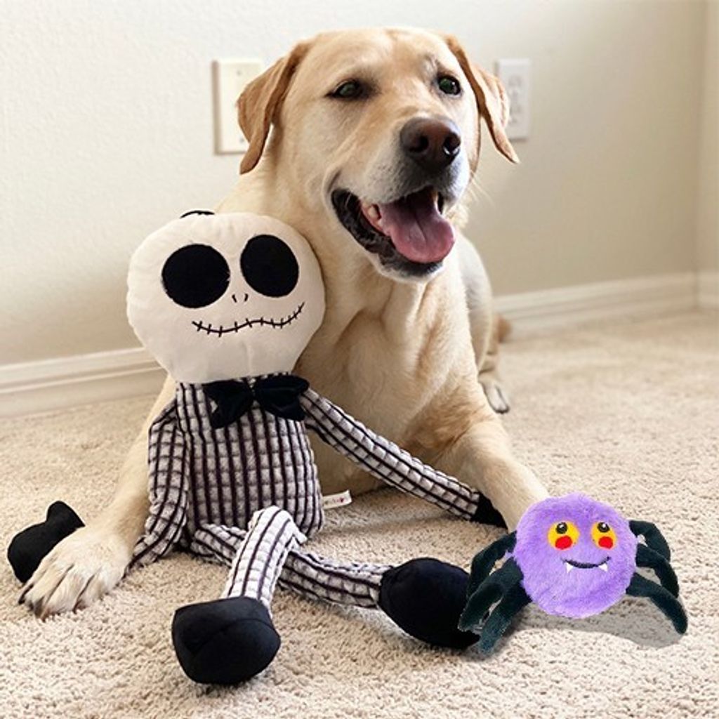 94ca3412759dda785bcc1801111caec1