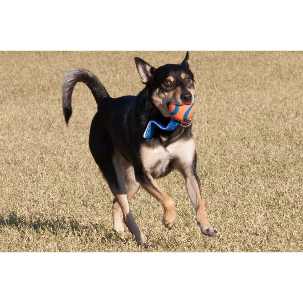 9532265e1351b9173688ee4329fbd2bf