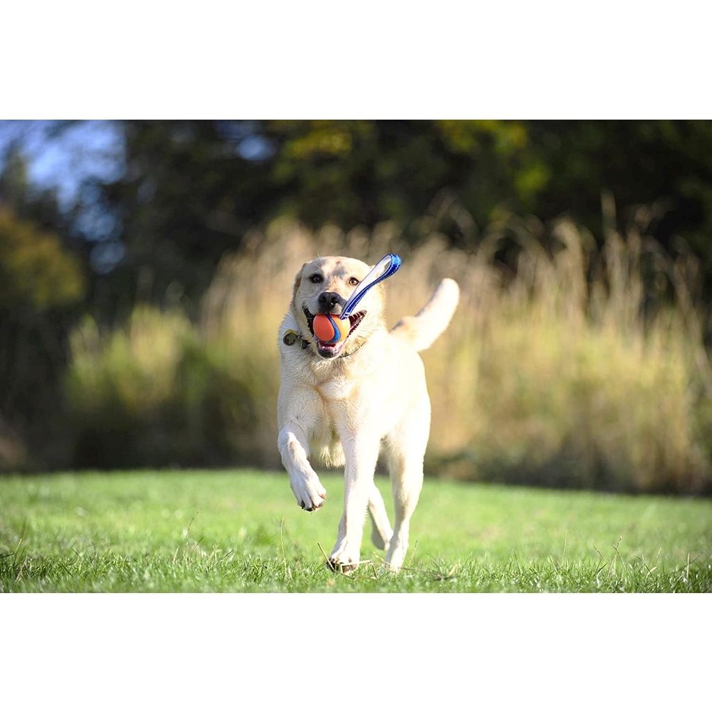 46ee53d2ff7026e40cb8847dee44ae46