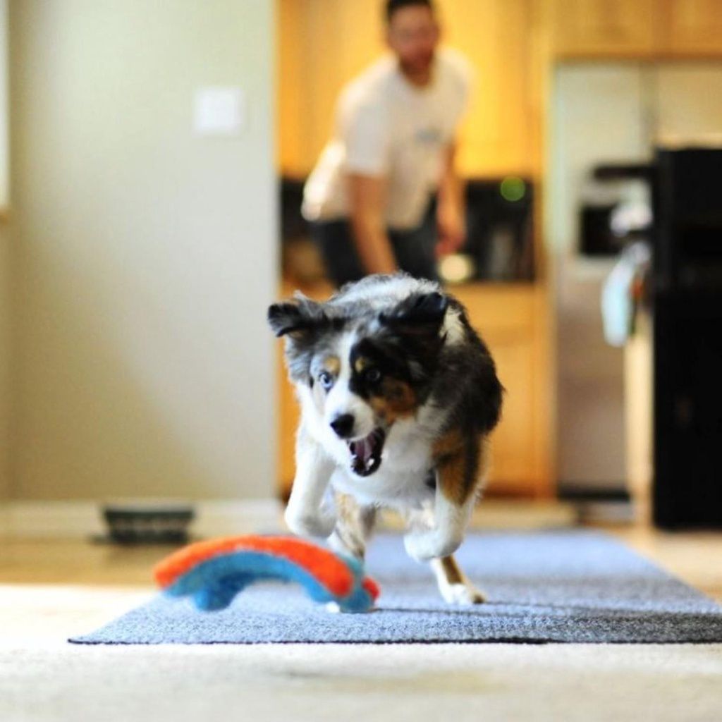 fa7de9f254534d0f0fb127485d566eca