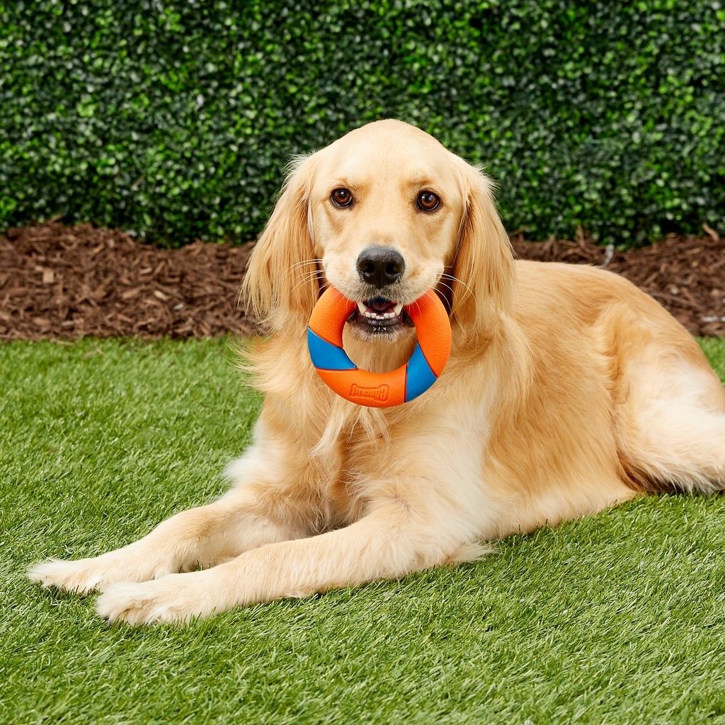 12770df8b4946526e60e6166f8fb138d