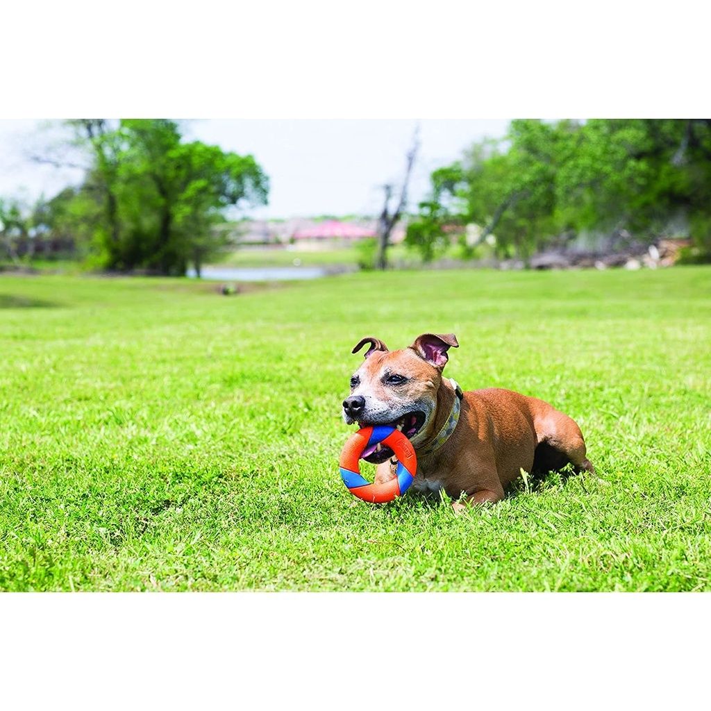 0371a76fbcd0ec08509b0c088aed06d8