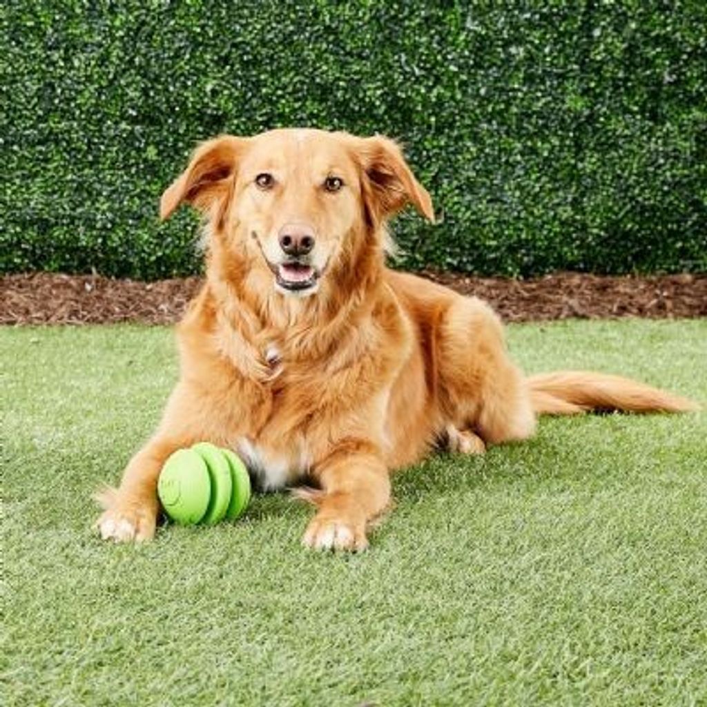 ce864fb7a70d65b796011e1ea7b713bb