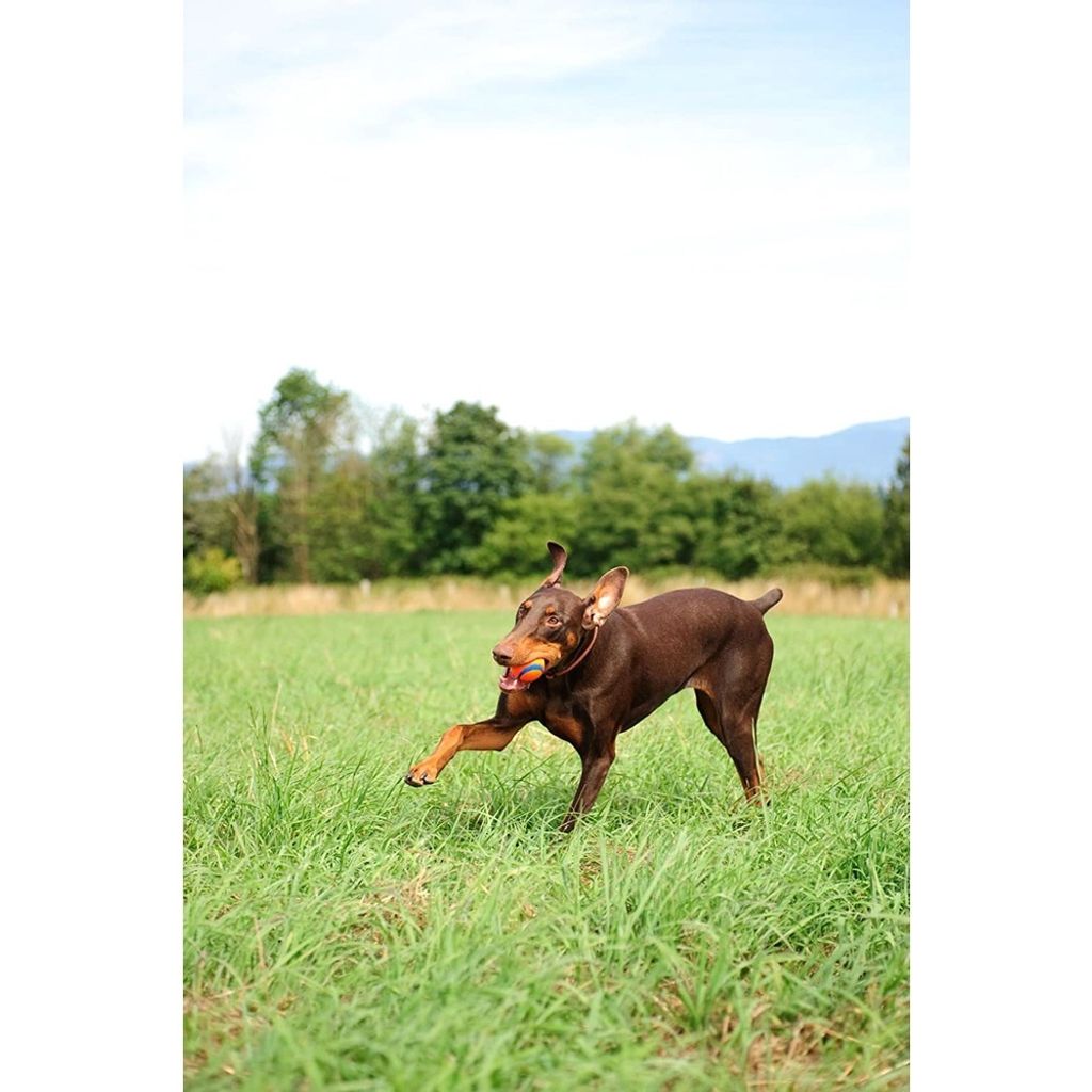 1ef8de462be2479f5685b44060733486