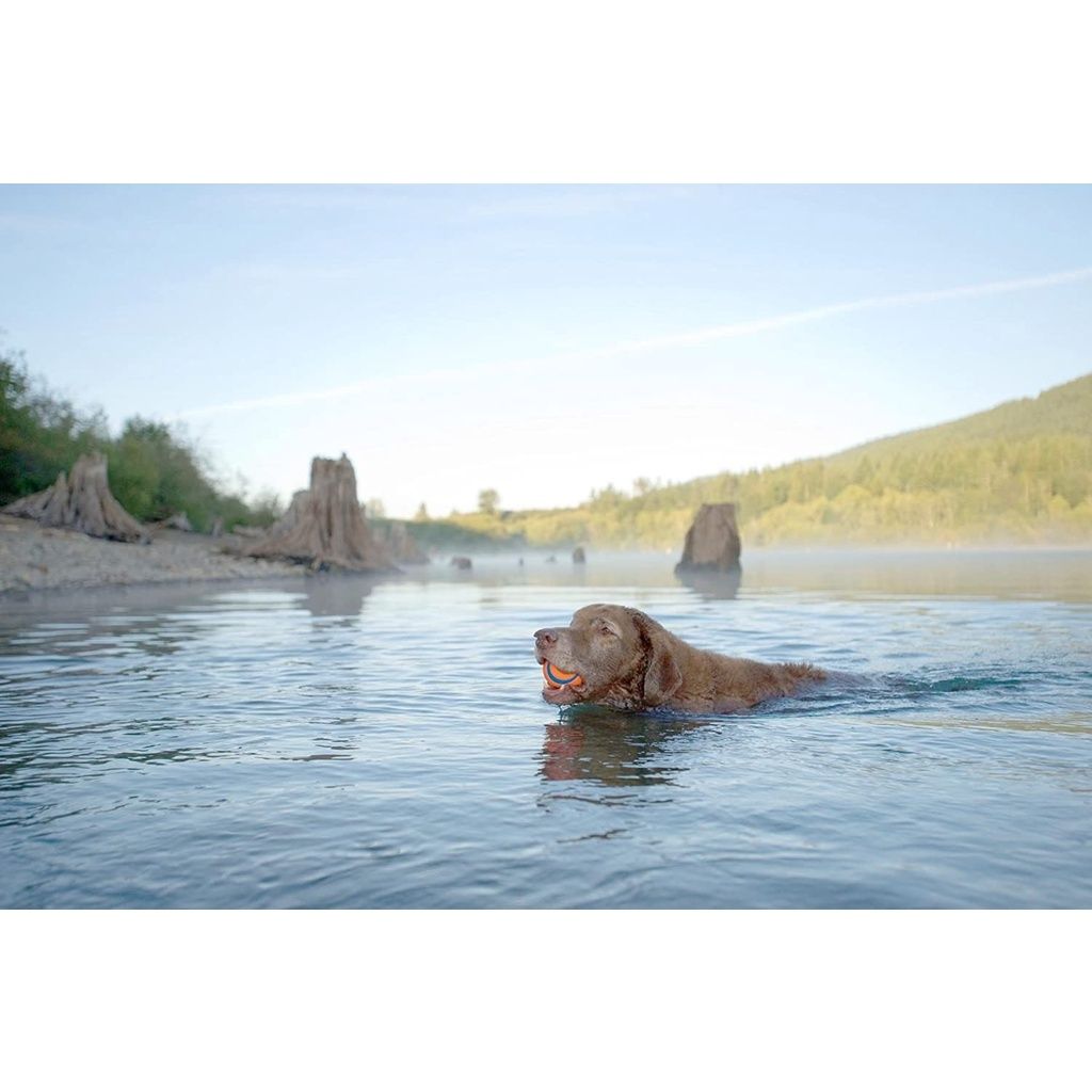 325f5b6471b74db843329ffbf9910d4c