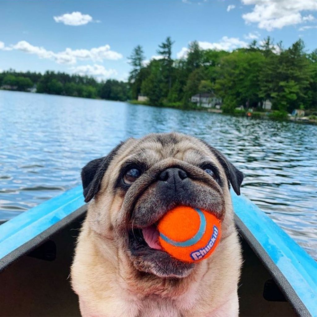 fd1e7b0b4d7b472df43d4b0c54f541a8