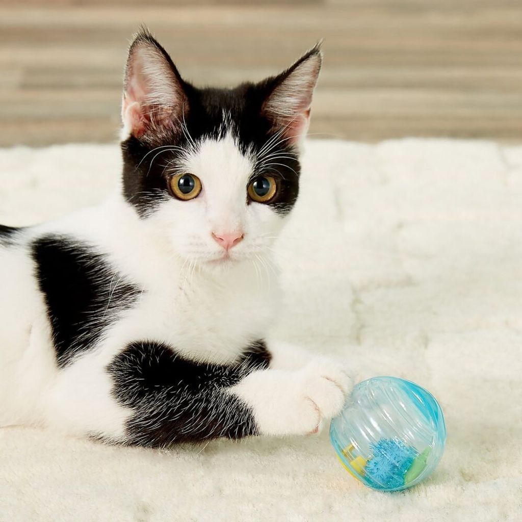 44f8f9bbb39bf2460d9385bf2a90113e