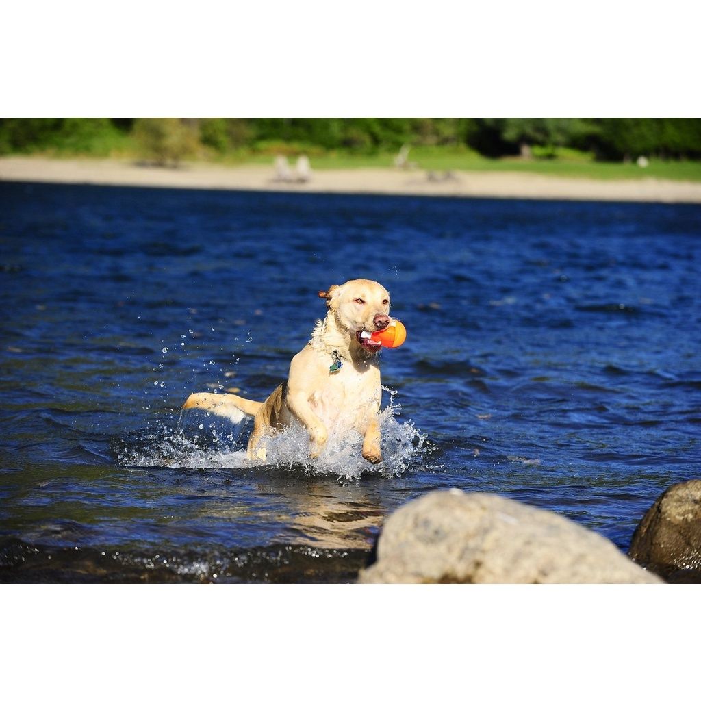 baf3fb4b2660e11906330dac6b464929