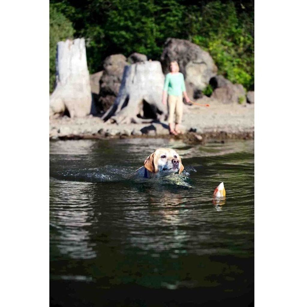 49f5d314c3b585549ba345dfbff035f0