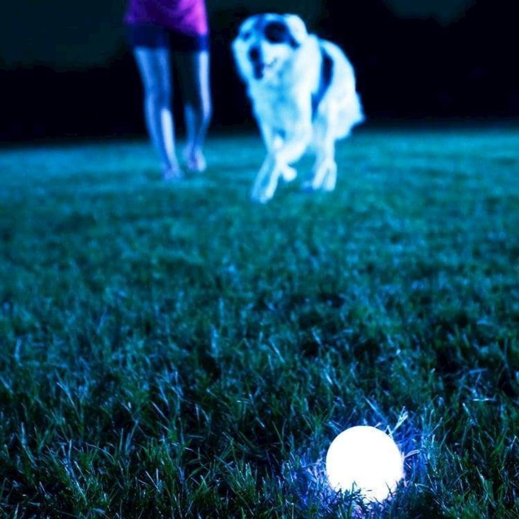 d50056026952674148ff9a038a2e3104