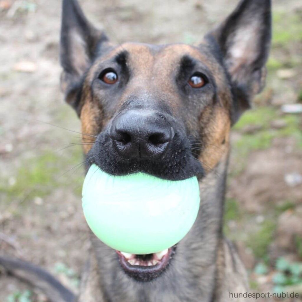 17a78a0f8303f7c380ac386cc8976c4f