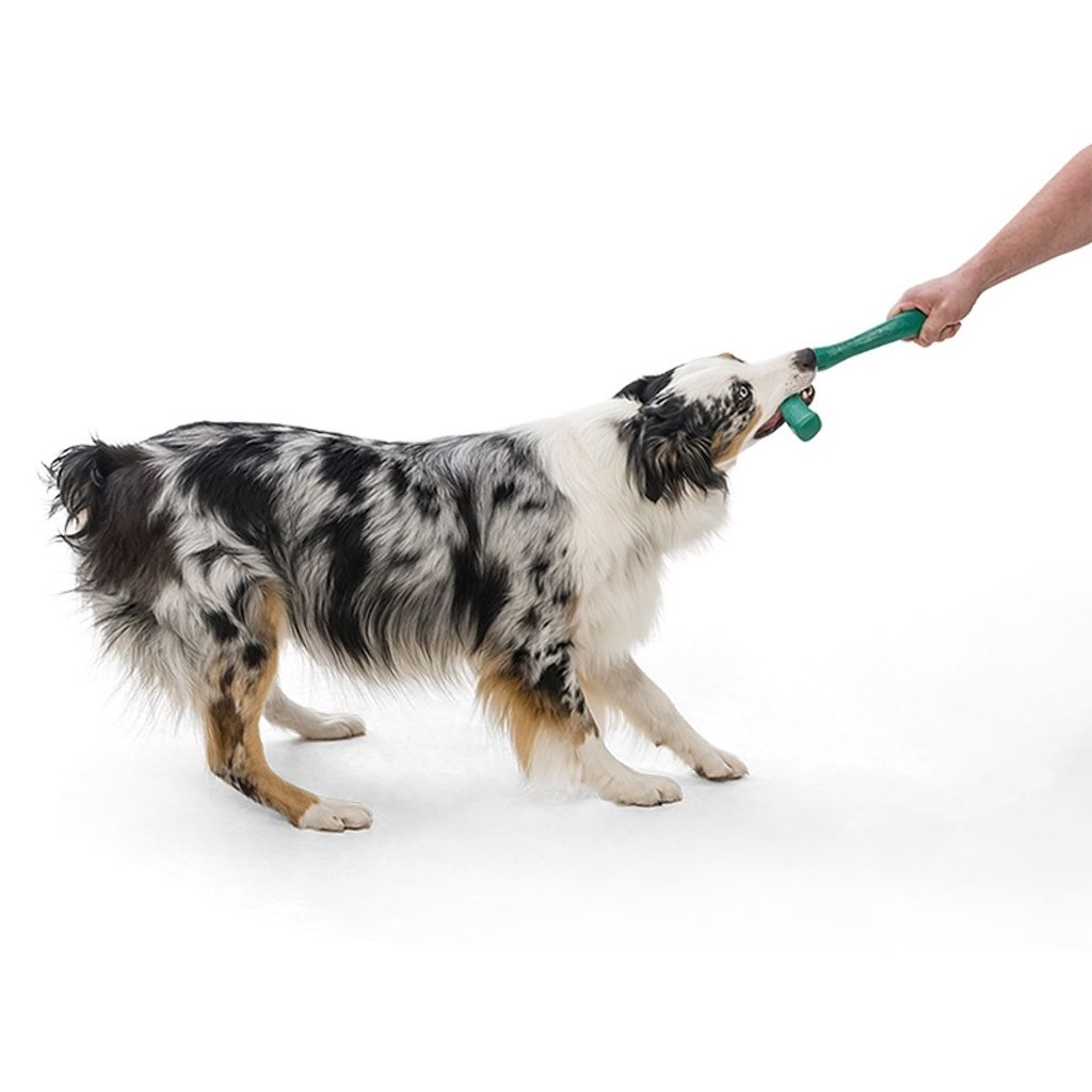 4e426e44f55ab50174691a9ae0c12317