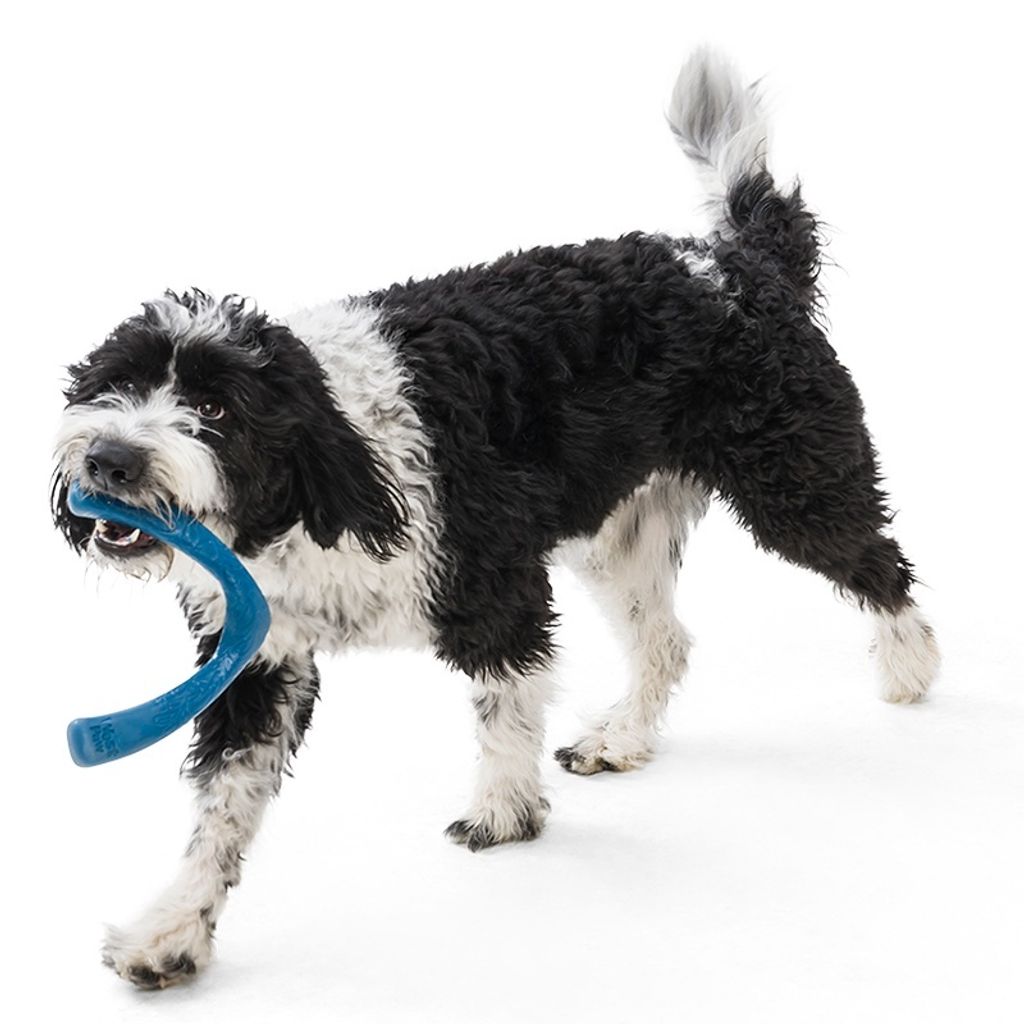 7201d0e66dfdd20abe7e005d3b364b48