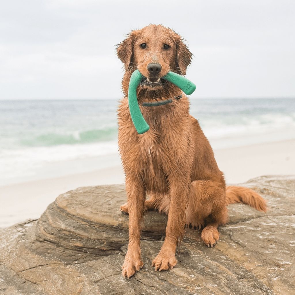 2eb0faa3b407bdc2effe84f8f122dd07