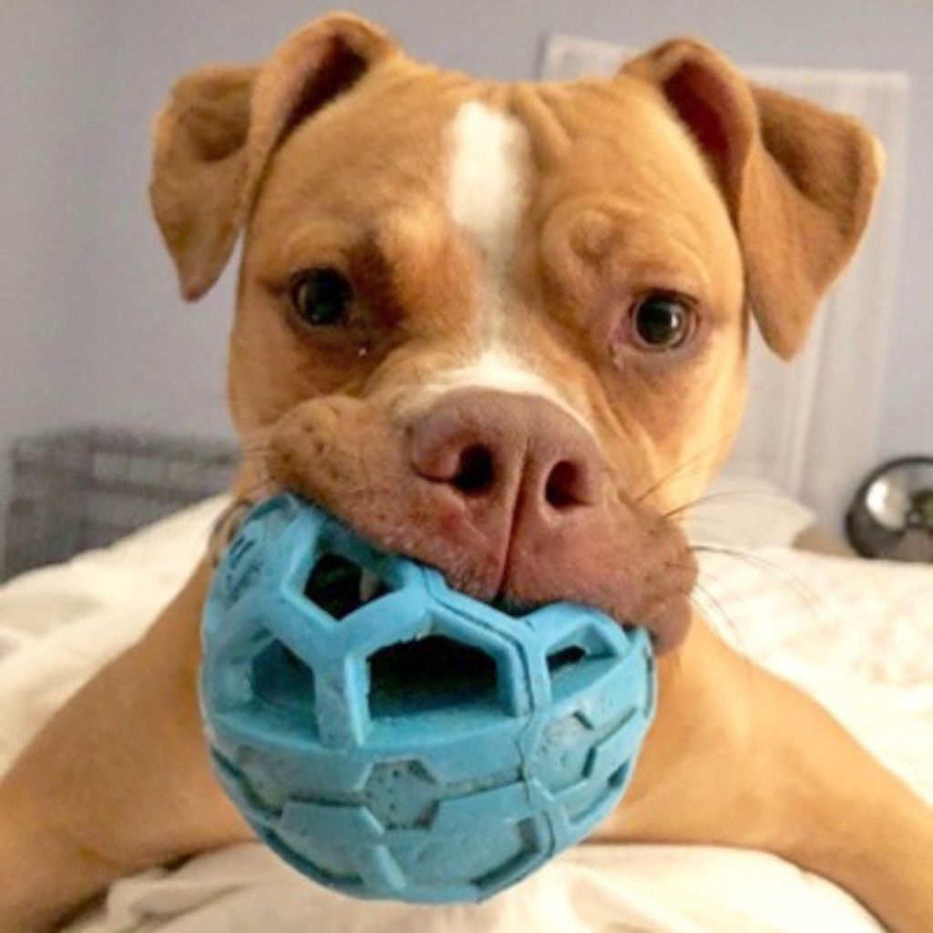 tw-11134207-7r991-lxi5i0p1kvn49c