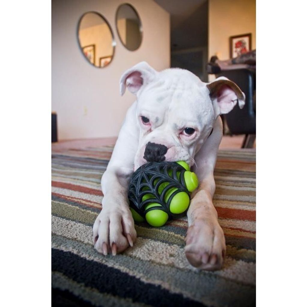 tw-11134207-7r98r-lw5fiz6ipicm15