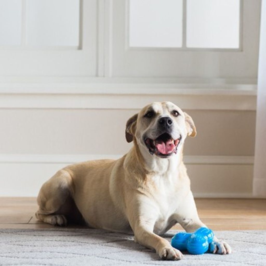 29dd7d6121b8f1ec188a536d9f8dcbe9