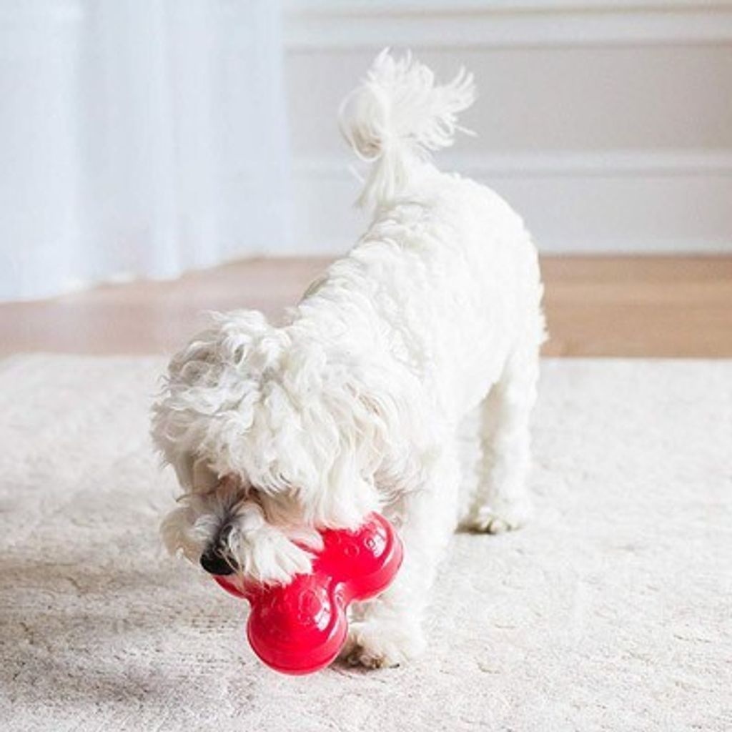 0ecbcc282273b385911cfd2a5cd8dfe4