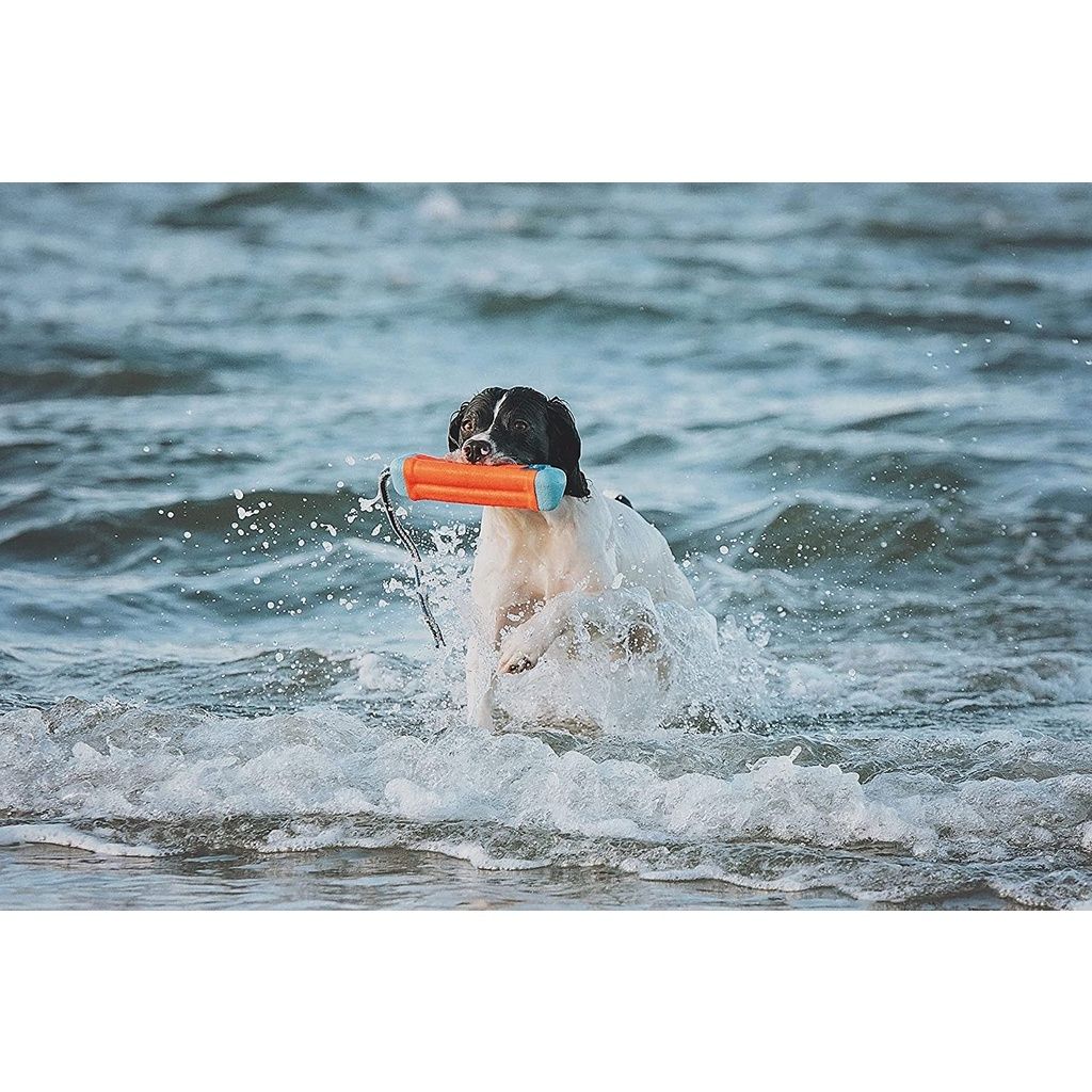 c025cbdd80b816ddba1ac3a7903848ba