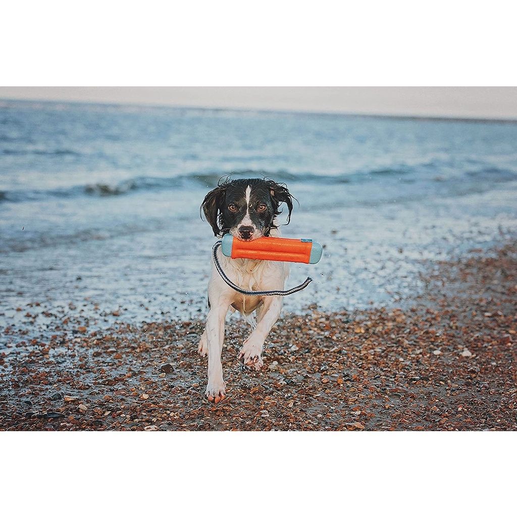 ff6f164166e2cb46133fdd21cf6cfb52