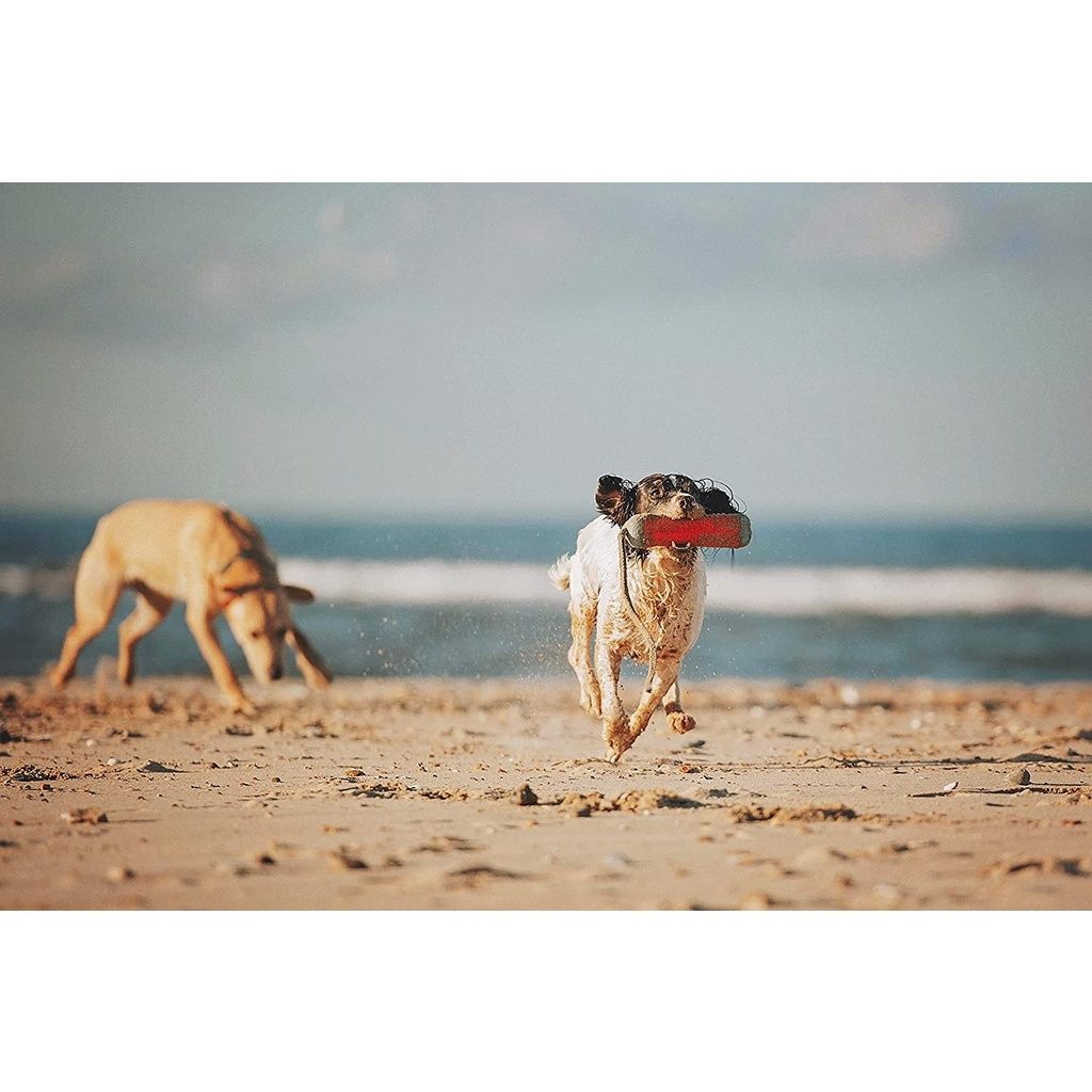 cfebb5aaeaf9043ab77ca3adc5ce5769