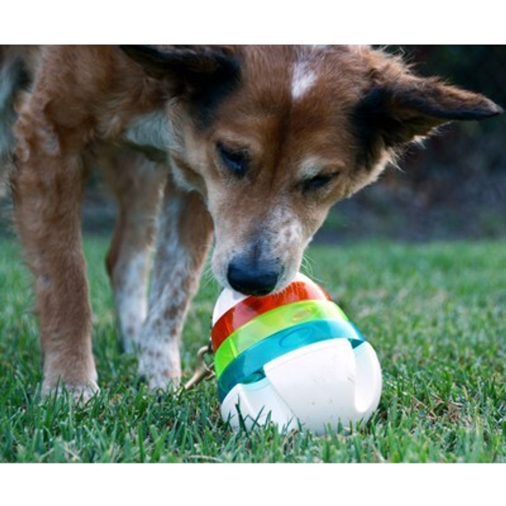 3bf20a90f6217e8da123b432c616947f