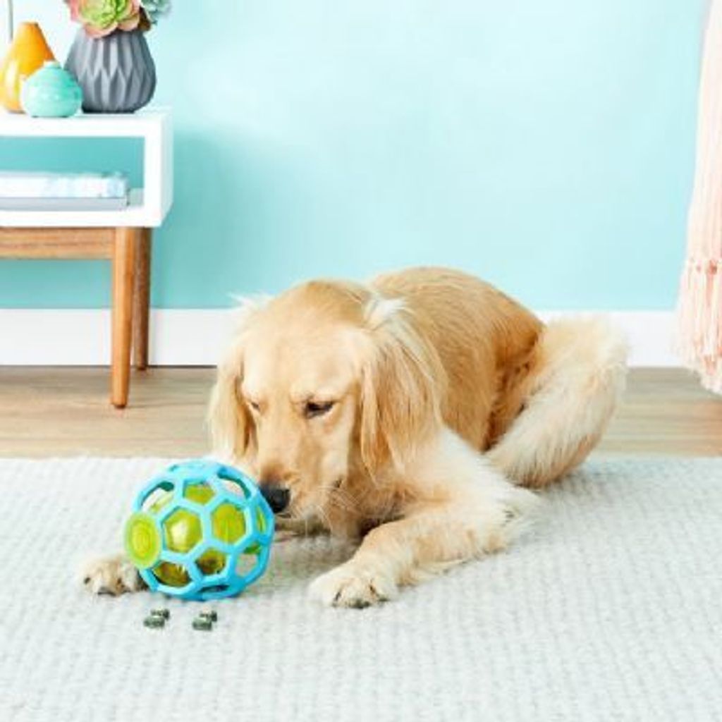 tw-11134207-7r98p-lw59pgnwb3g0f7