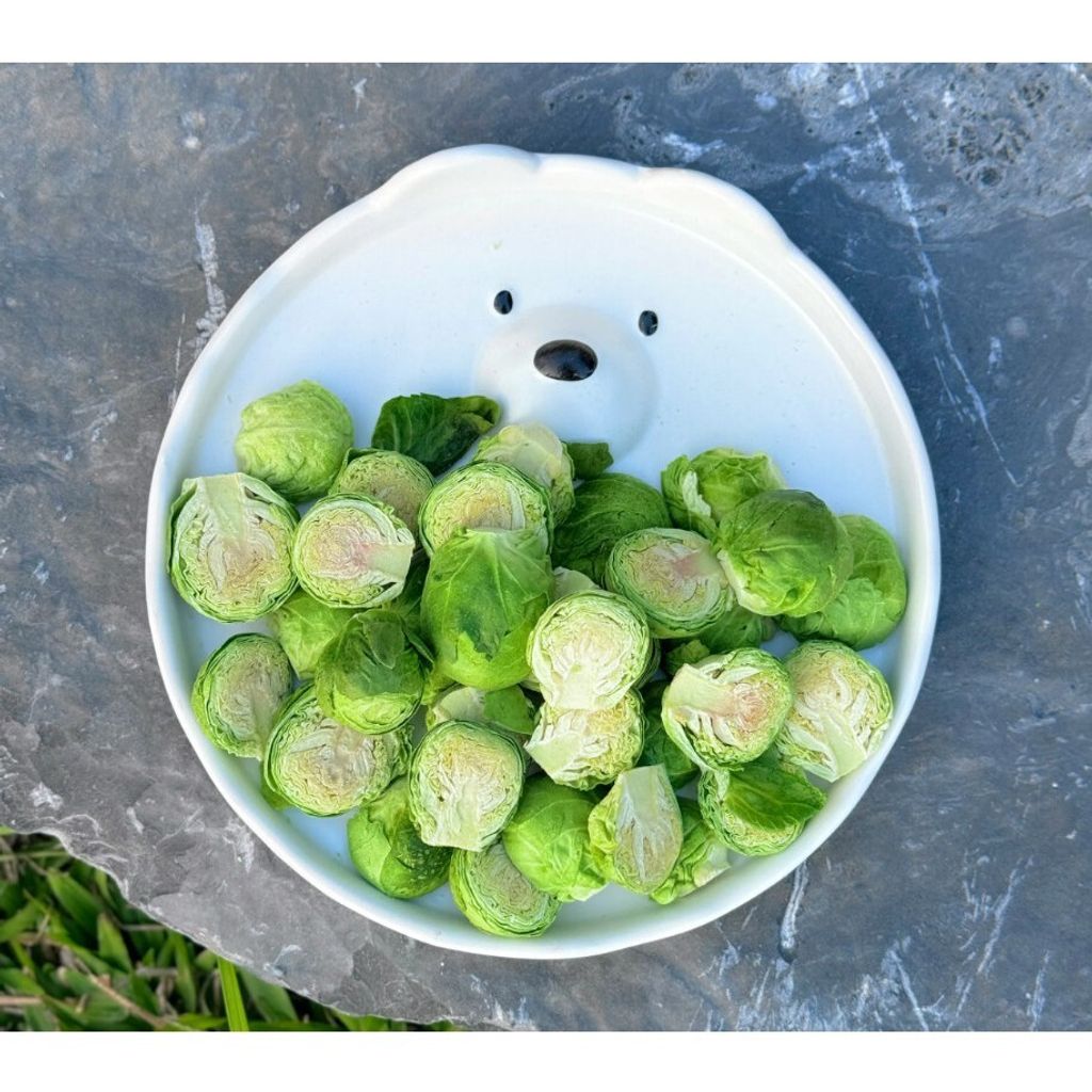 tw-11134207-7r98p-lss8cch3ye4oc3