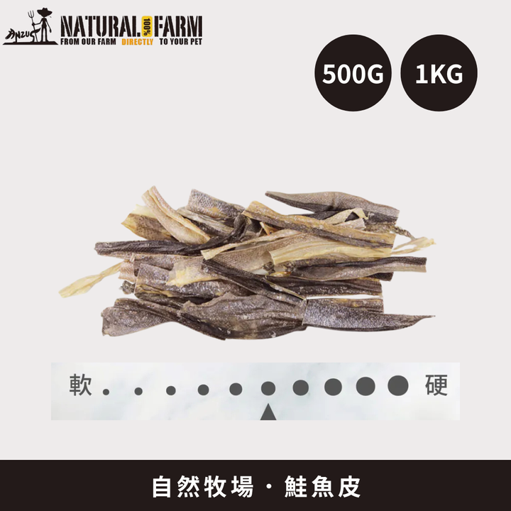 散裝1