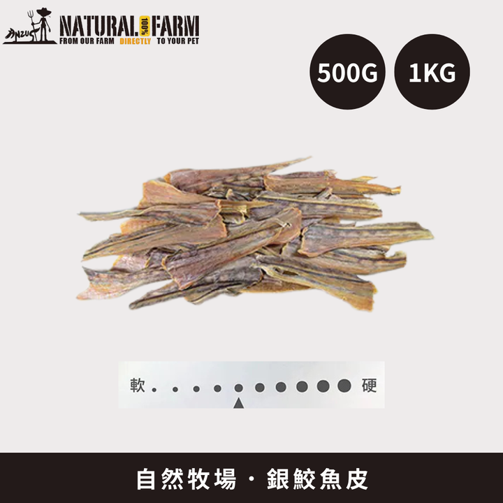 散裝1