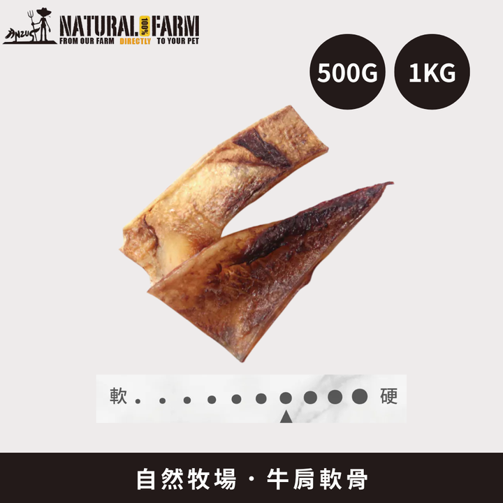 散裝1