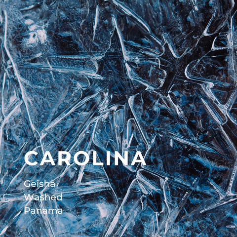 CAROLINA