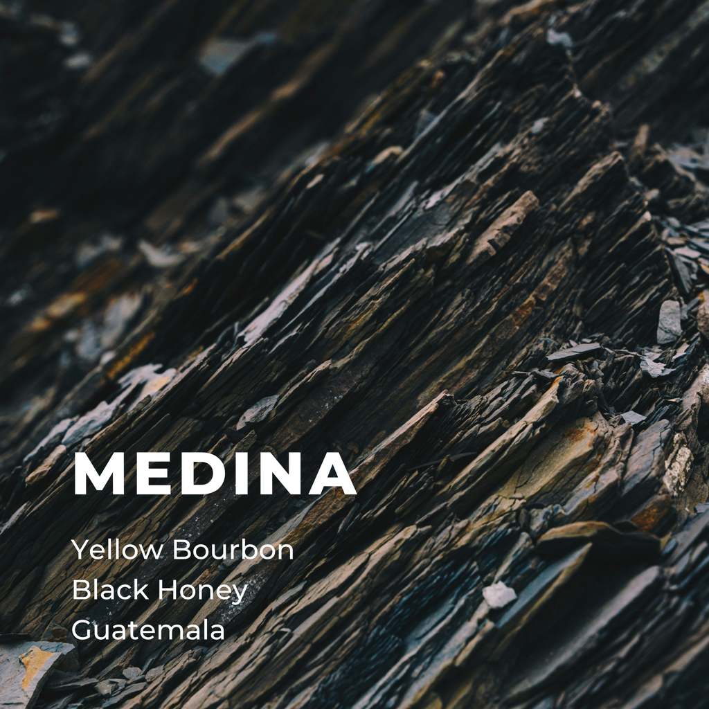 MEDINA