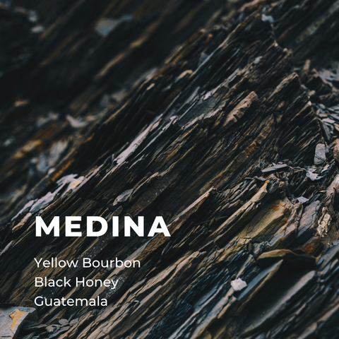 MEDINA