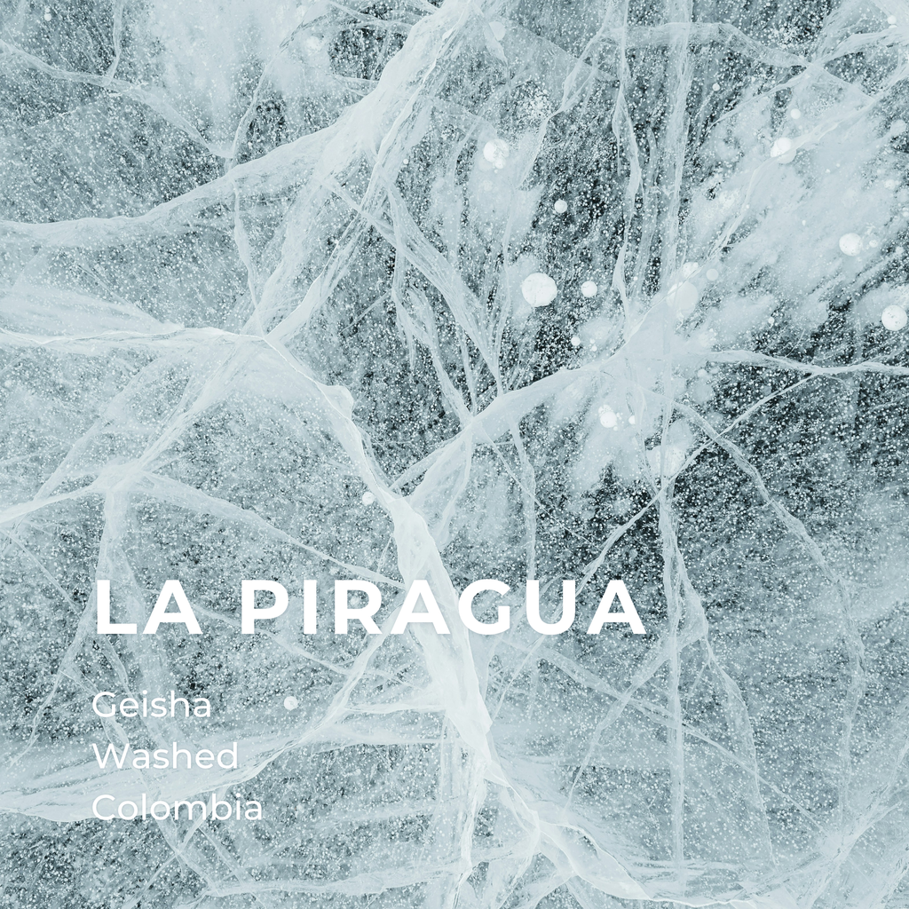 LA PIRAGUA