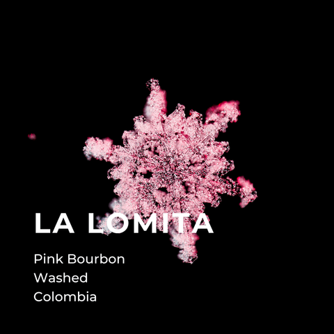LA LOMITA