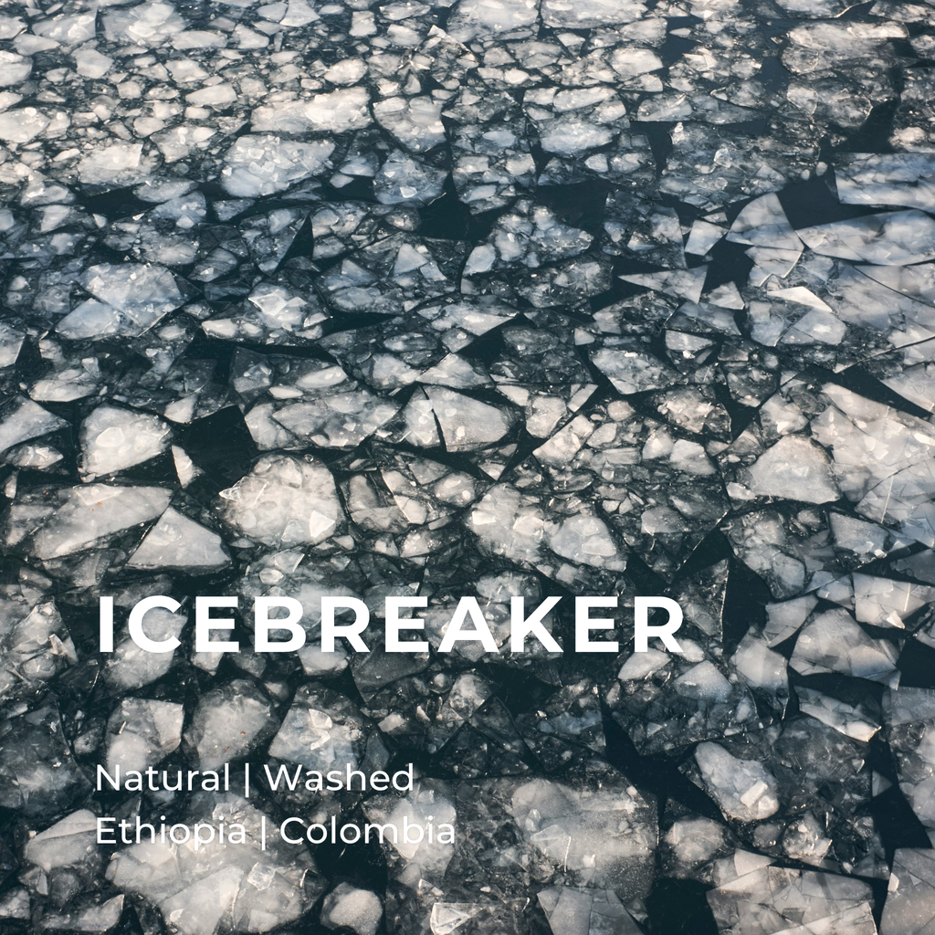 ICEBREAKER (1)