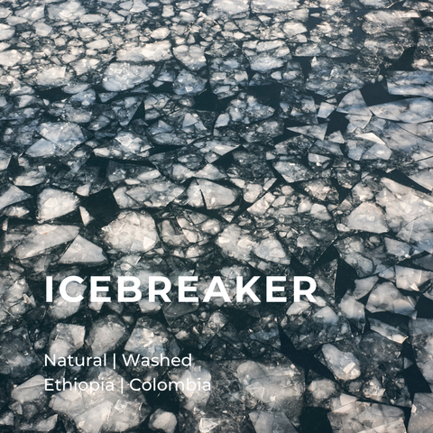 ICEBREAKER (1)