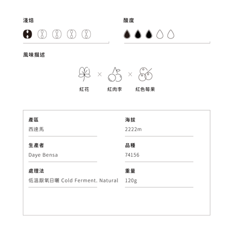 s111-web