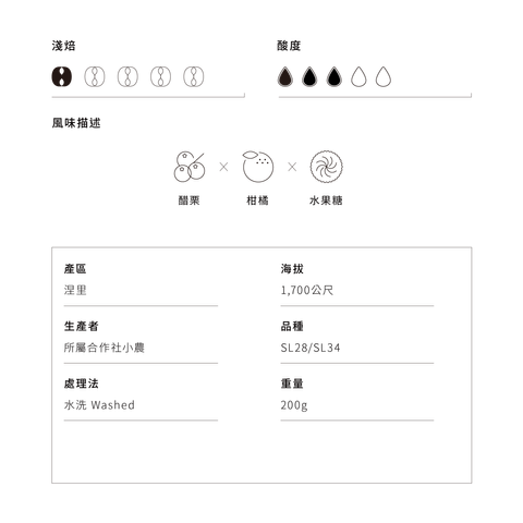 s41-web